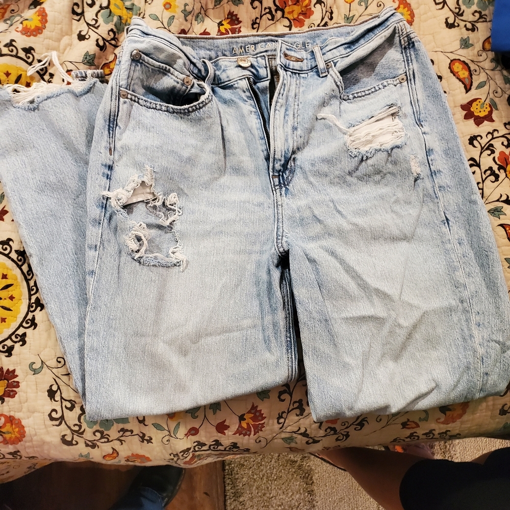 Faded and Stressed American Eagle Jeans (12)